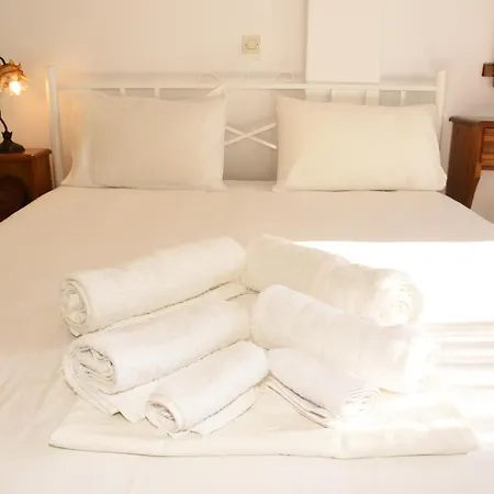 בית נופש Andros 2 Berdrooms 4 Persons Cycladic House.